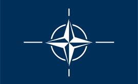 Doutor José Francisco Pavia publica na Research Paper da NATO