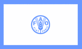 CONCURSOS E ESTÁGIOS | VAGAS NA FAO - FOOD AND AGRICULTURE ORGANIZATION OF THE UNITED NATIONS