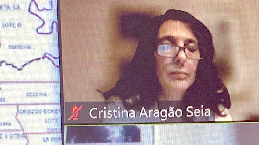 Professora Cristina Aragão Seia participa em Congresso Internacional