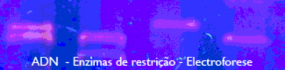 Clique para aumentar