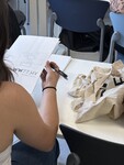 Clique para aumentar