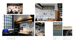 Clique para aumentar