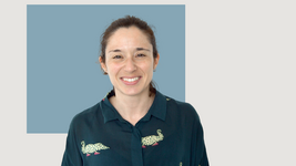 Clique para aumentar